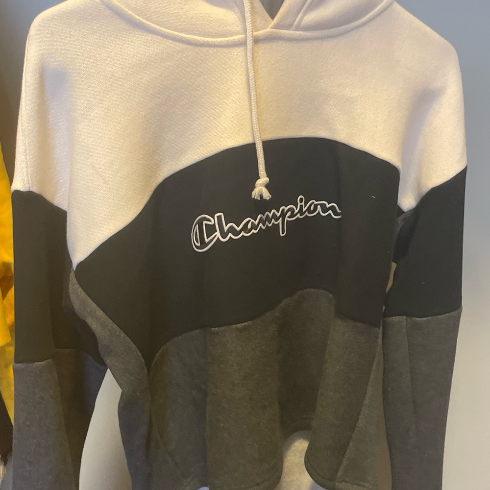 Cropped Champion Sweater